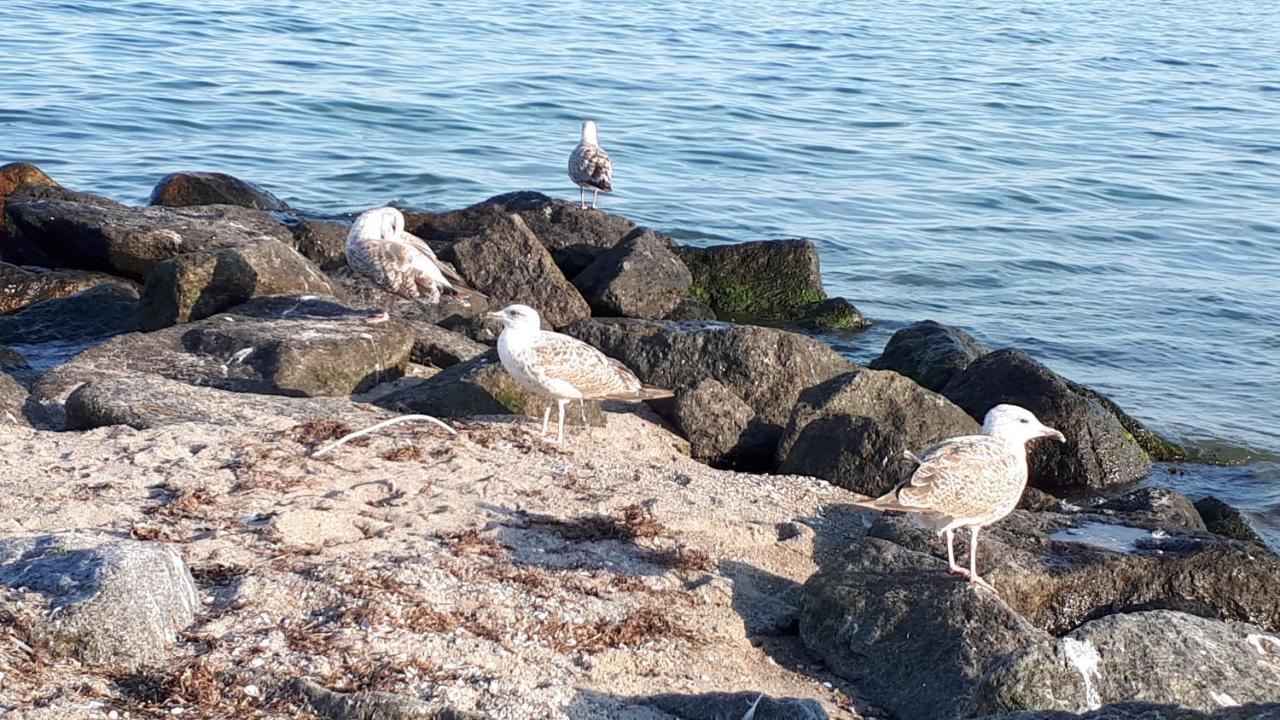 Dachgeschosswohnung Mit Seeblick Ahrensbok Luaran gambar